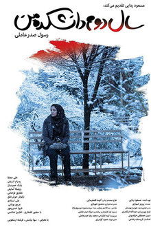 My Second Year in College