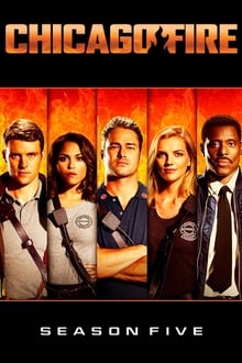 Chicago Fire 5° Temporada Completa