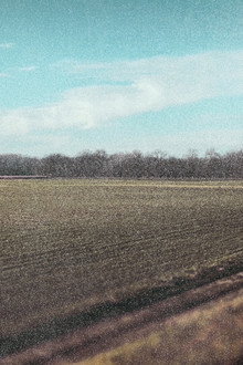 Lófej