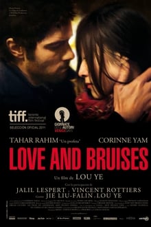 Poster do filme Love and Bruises