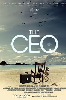 Poster do filme Os Cinco CEOs