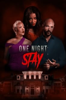 Poster do filme One Night Stay