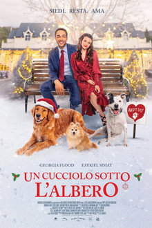 Un cucciolo sotto l'albero