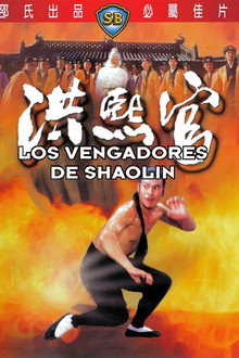 Los vengadores de Shaolin