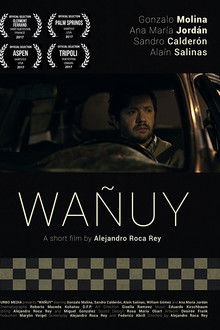 Wañuy