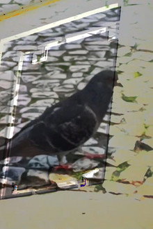 não tenho dormido muito mas continuo sonhando a cada piscada