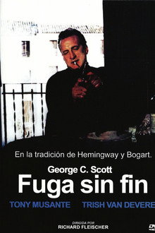 Fuga sin fin