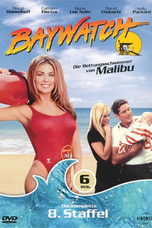 Staffel 8