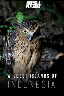 Wildest Islands of Indonesia Wildest Islands of Indonesia