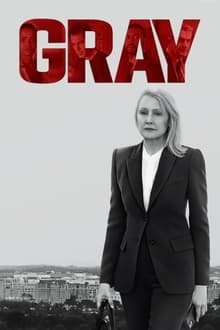 Poster da série Gray