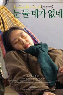 눈 둘 데가 없네