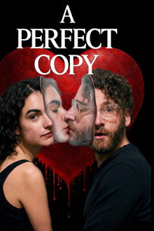 A Perfect Copy