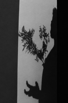L'ARBRE