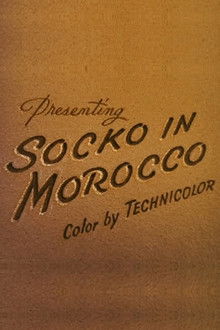 Socko in Morocco
