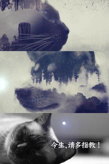 今生，请多指教