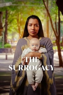 The Surrogacy tv show poster