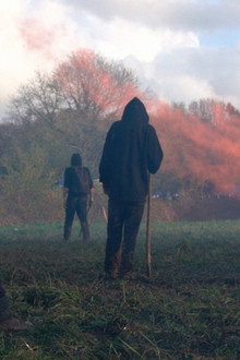 Forêt rouge