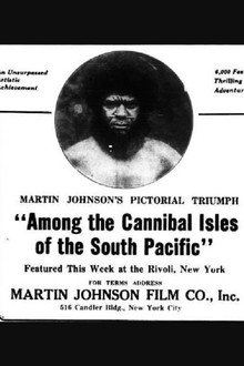 Among the Cannibal Isles of the South Pacific