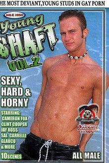 Young Shaft 2