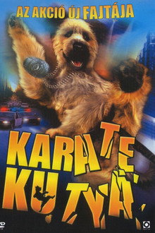 Karate kutya