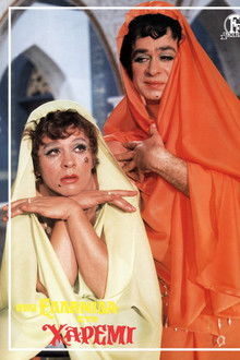 A Greek woman in a Harem