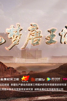 筑梦唐王城