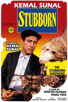 Stubborn