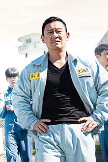 범털