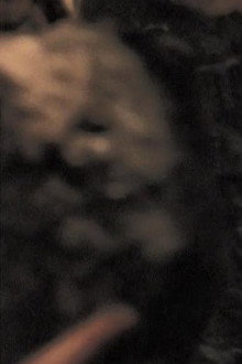 The Doorway