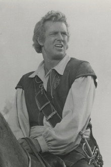 The Golden Hawk