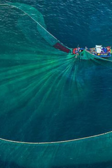 Au nom de la mer : vers une pêche durable ?