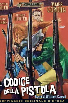 Il codice della pistola
