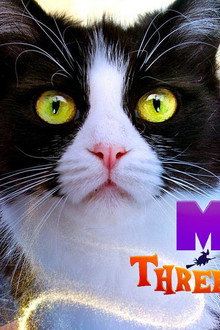 Moo Moo and the Three Witches