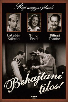 Behajtani tilos