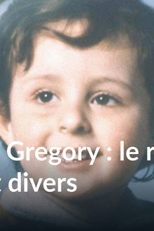 L'Affaire Grégory : le roman noir d'un fait divers