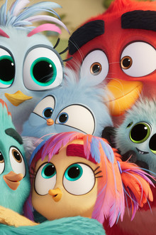 Angry Birds ve filmu 3