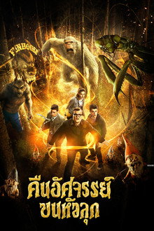 คืนอัศจรรย์ขนหัวลุก