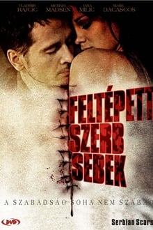 Poster do filme Serbian Scars