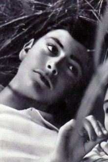 Le italiane e l'amore