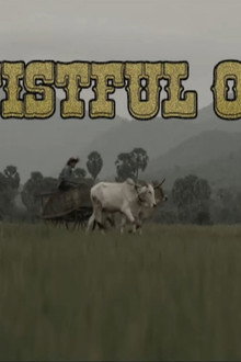 A Fistful Of Pebbles