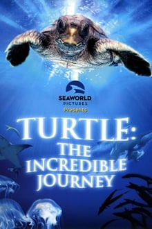Poster do filme Turtle: The Incredible Journey