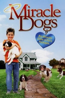 Poster do filme O Milagre dos Cães