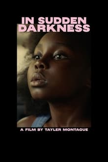 Poster do filme In Sudden Darkness