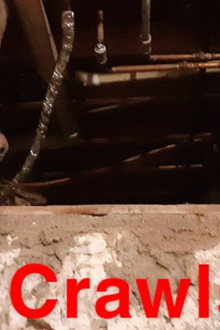 The Crawlspace