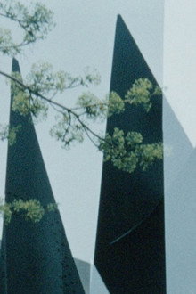 Calder