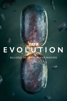 Evolution