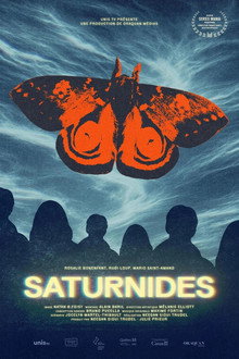 Saturnides
