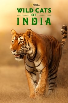 Wild Cats of India tv show poster