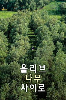 올리브 나무 사이로