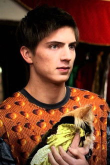 Doggie-Boogie---Get-Your-Grrr-On!